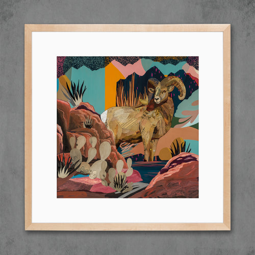 BIGHORN SHEEP COUNTRY limited edition paper print