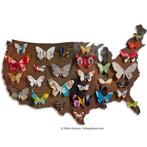 Dolan Geiman American Butterflies Patriotic Metal Wall Art