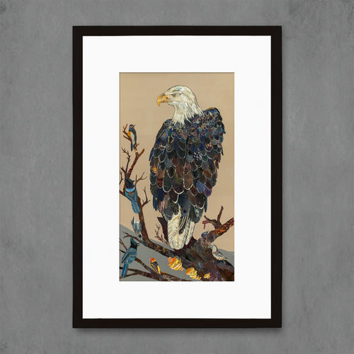 Archival reproduction of original Bald Eagle paper collage artwork. Contemporary wildlife artwork featuring a bald eagle among other avian companions. Limited edition giclee print each signed and numbered