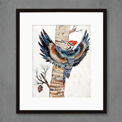 minimalist nature art print with pileated woodpecker bird on birch tree