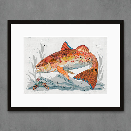 redfish art red drum print | for the modern angler