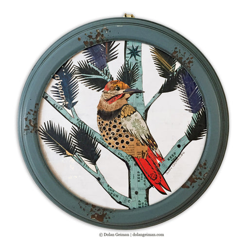 Northern Flicker woodpecker art, original paper collage by Dolan Geiman