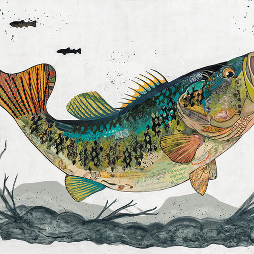 SUMMER BASS limited edition paper print