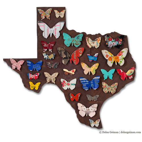 Dolan Geiman Texas Butterflies Colorful State Map Art