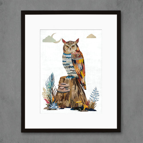 nature art lover fine art print with owl on tree in woodland scene