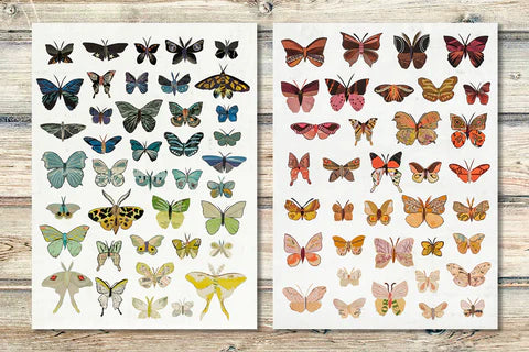 Butterflies Set