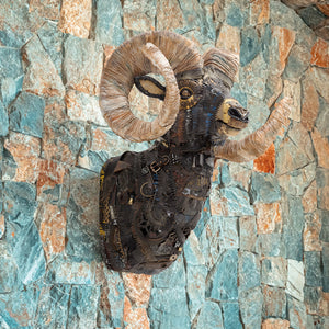 thumbnail for ROCKY MOUNTAIN BIG HORN SHEEP original faux taxidermy sculpture