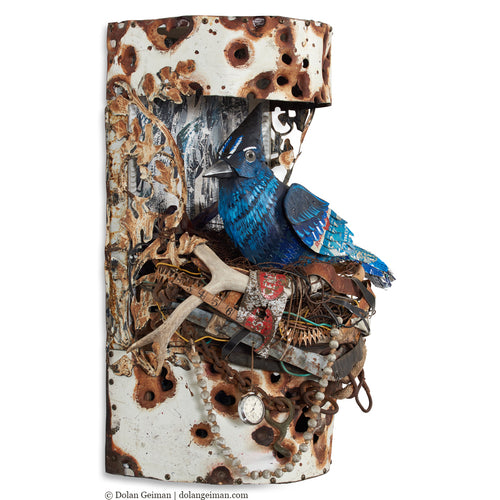 assemblage art of Steller's Jay in nest by Denver artist Dolan Geiman