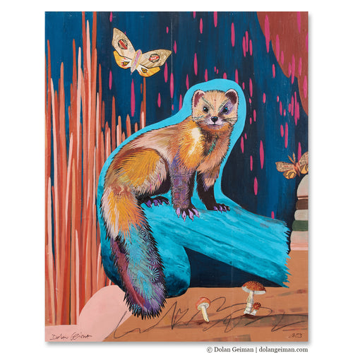 Modern wall art of Pine Martin with moth and mushrooms by Dolan Geiman