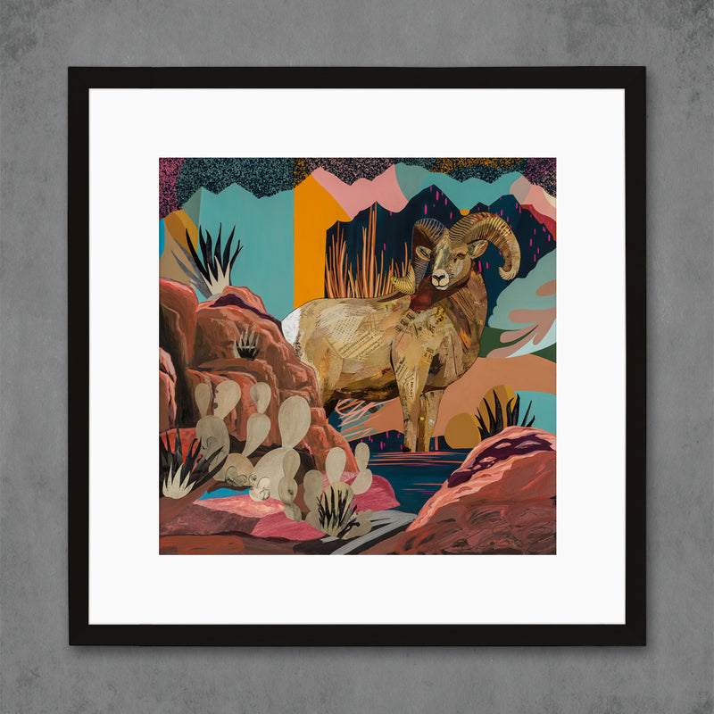 main image for BIGHORN SHEEP COUNTRY limited edition paper print