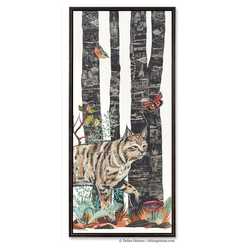 MIDNIGHT FOREST BOBCAT canvas art print with float frame