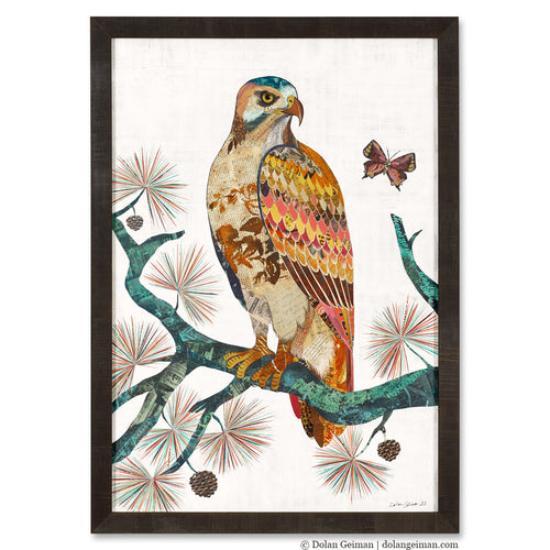 mixed media bird collage of red-tailed hawk