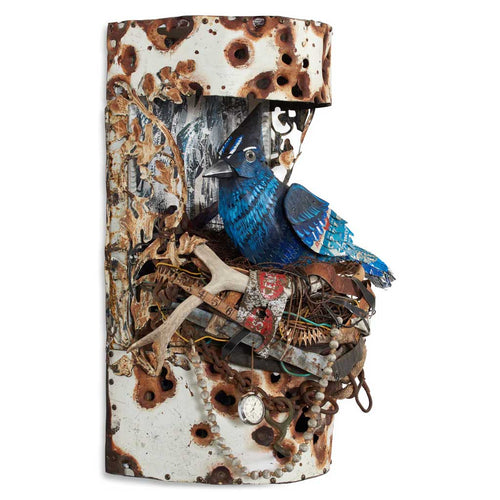 STELLER'S JAY original mixed media wall sculpture