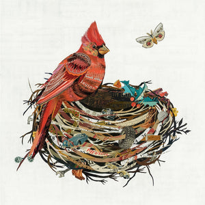 thumbnail for CARDINAL IN NEST limited edition paper print