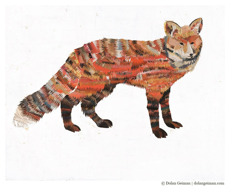 red fox animal drawing