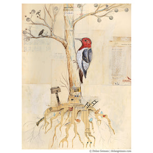 thumbnail for WOODPECKER IN TREE limited edition paper print