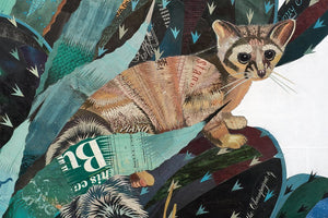 thumbnail for BAJA BACKCOUNTRY (RING-TAILED CAT) original paper collage
