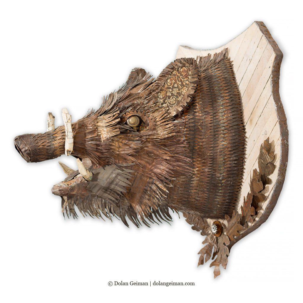 Wild top Boar Head