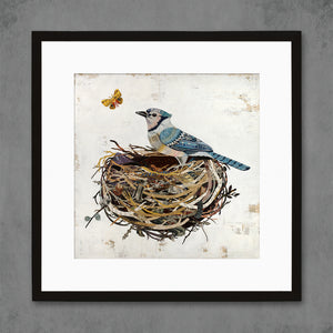 thumbnail for BLUE JAY IN NEST limited edition paper print