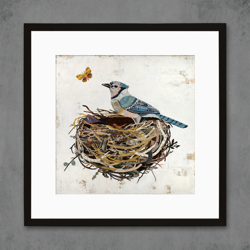 Dolan Geiman blue jay in nest poster art as featured at the Cherry Creek Arts Festival