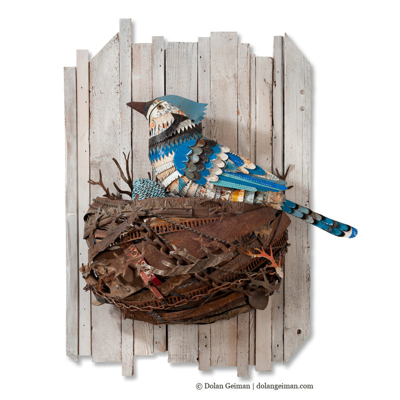 main image for BLUE JAY IN NEST original metal wall sculpture