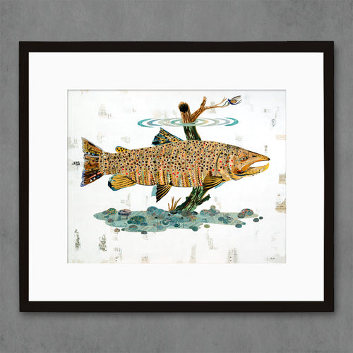 BROWN TROUT, I limited edition paper print