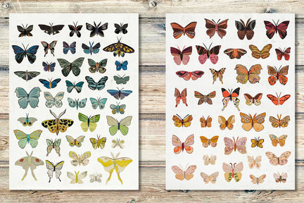 BUTTERFLIES (DUSK) limited edition paper print