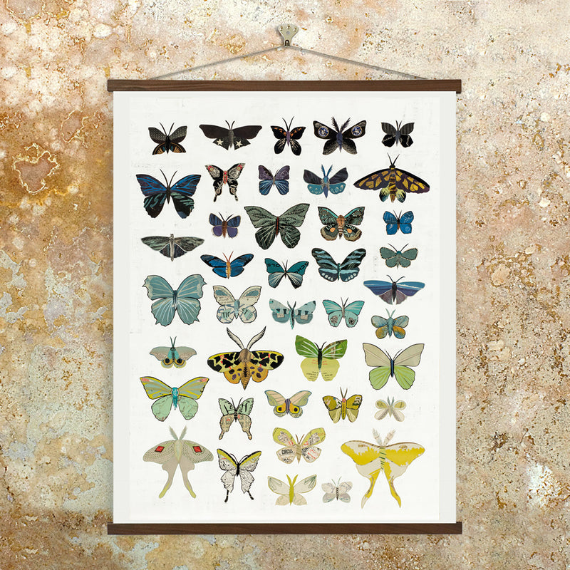 New Pigment Free Paint is Inspired by Butterflies
