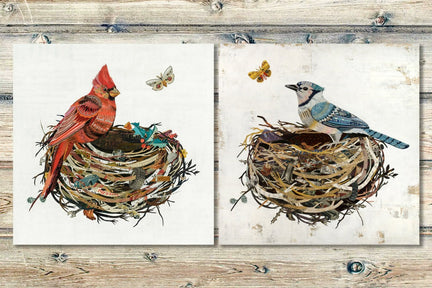 CARDINAL IN NEST limited edition paper print