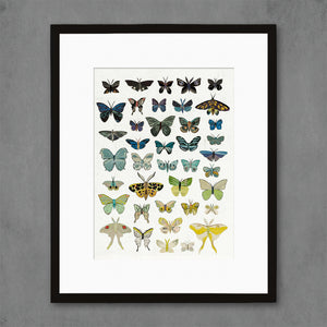 thumbnail for BUTTERFLIES (DUSK) limited edition paper print