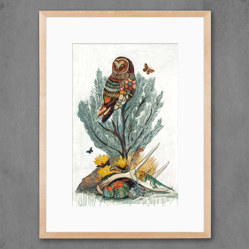 COTOPAXI SAGE  limited edition paper print