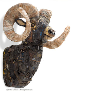 thumbnail for ROCKY MOUNTAIN BIG HORN SHEEP original faux taxidermy sculpture
