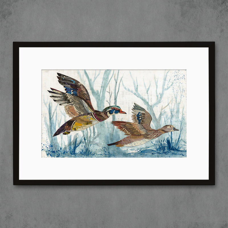 Limited edition print featured a pair of wood ducks, male and female, in flight through forest swamps.