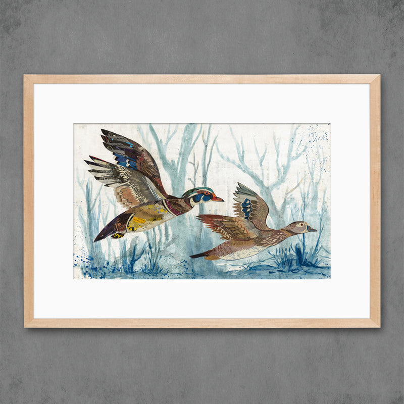 WOOD DUCKS limited edition paper print