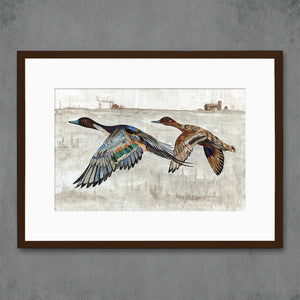 thumbnail for PINTAIL DUCKS limited edition paper print