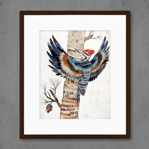 thumbnail for THE GREAT WOODPECKER limited edition paper print