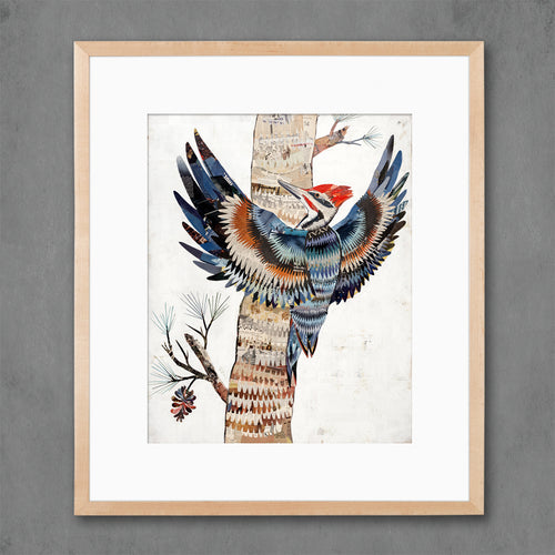 THE GREAT WOODPECKER limited edition paper print