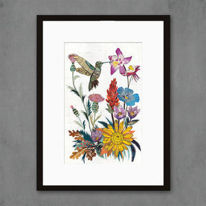 thumbnail for HUMMINGBIRD (WILDFLOWERS) limited edition paper print