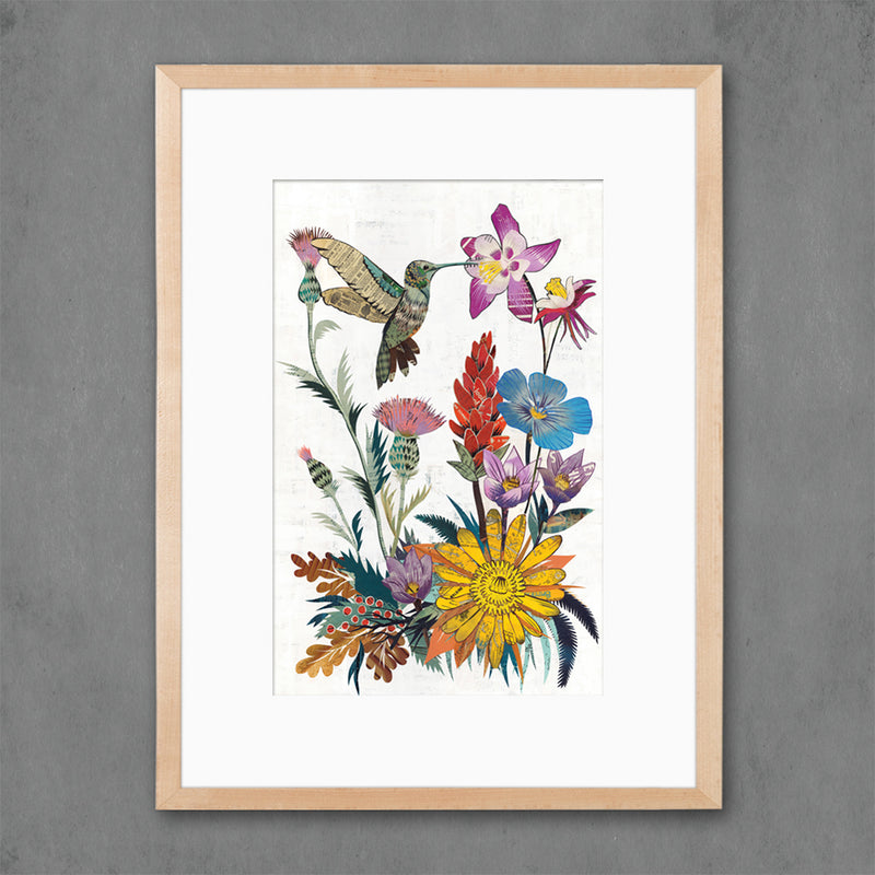 HUMMINGBIRD (WILDFLOWERS) limited edition paper print