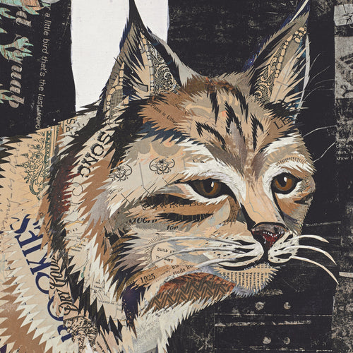 WHSL - Canvas -  Midnight Forest (Bobcat)