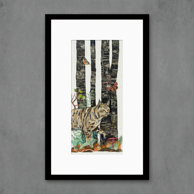 main image for MIDNIGHT FOREST (BOBCAT) limited edition paper print