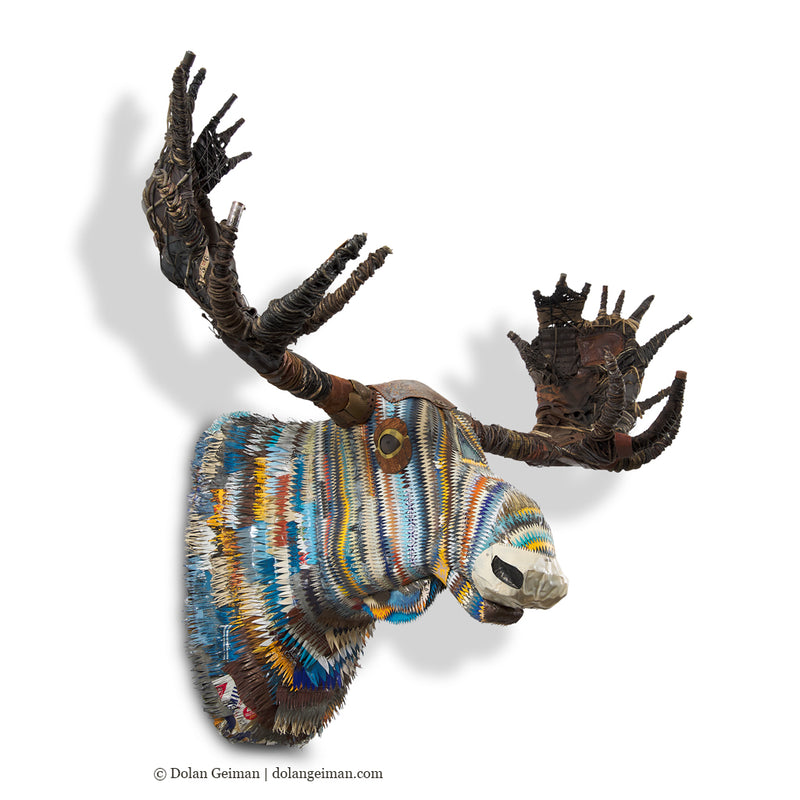 main image for GREAT PLAINS (MOOSE), COLORFUL original faux taxidermy sculpture