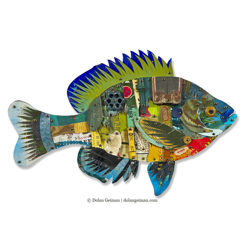 TROPHY FISH (BLUEGILL) original mixed media wall sculpture