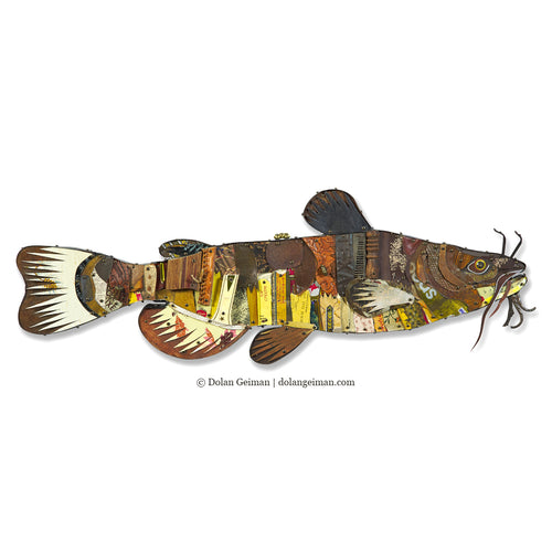 TROPHY FISH (CATFISH) original mixed media wall sculpture