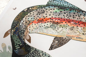thumbnail for RAINBOW TROUT, II limited edition paper print