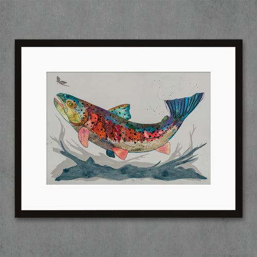 trout print art set | colorful rainbow trout rendered in vintage paper on grey background