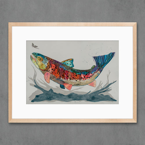 ROARING FORK RAINBOW TROUT limited edition paper print