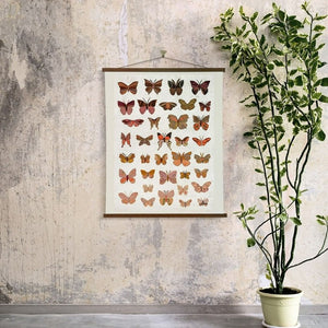 Paper Butterfly Wall Art - Town & Country Living