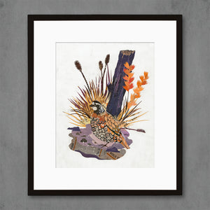 thumbnail for ANIMALS OF NORTH AMERICA: QUAIL limited edition paper print