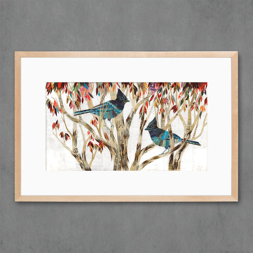 STELLER'S JAY limited edition paper print